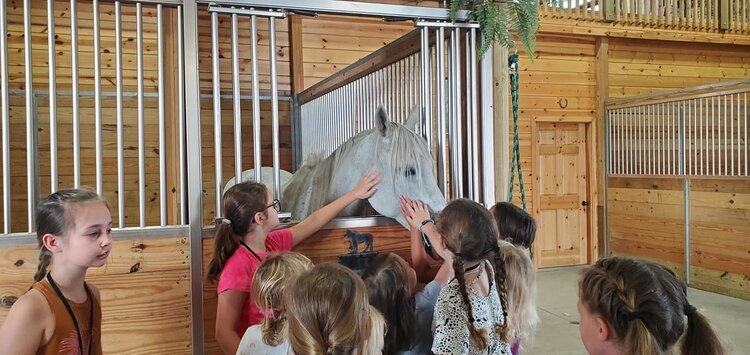 At Equestrian Camp, kids learn the basics of caring for and riding horses.