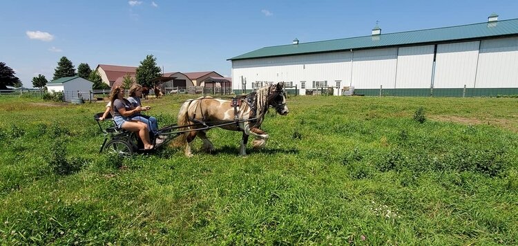 In the Advanced Equestrian Camp, kids try different riding disciplines.