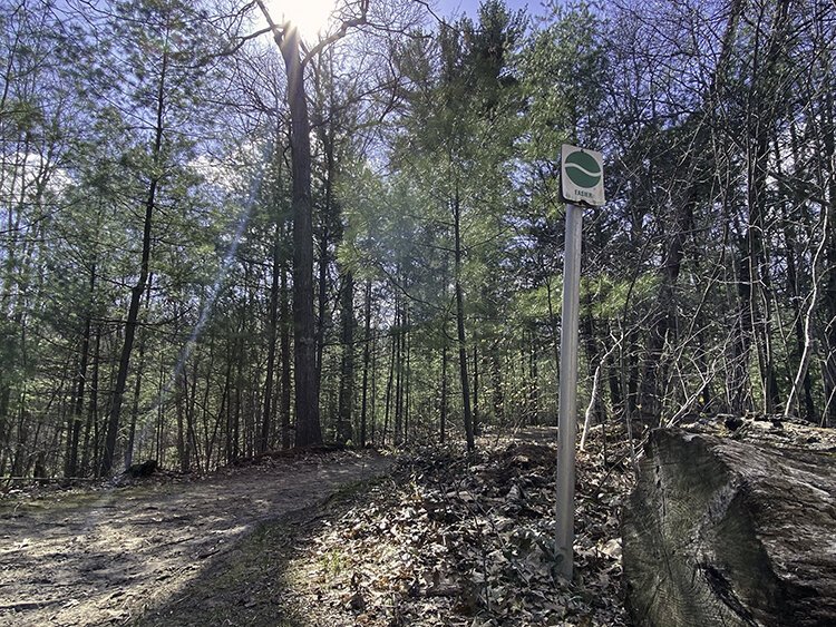 The towering pines, peaceful ponds, and trickling streams at Pine Haven all make these trails worth the short trip from town. (Photo courtesy of Crystal Gwizdala)