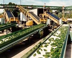 Mr. Chips Inc., a subsidiary of Bay View Foods, was founded in 2000. An October fire forced the Pinconning facility to close and pushed production to a plant in Georgia, but leaders say they hope to open again in Michigan.