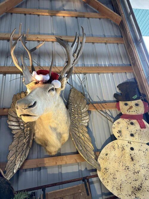 One-of-a-kind items fill the shelves inside Northwoods. You'll find unique home decor, groceries, and pretty much everything you need for a camping, fishing, or hunting weekend.