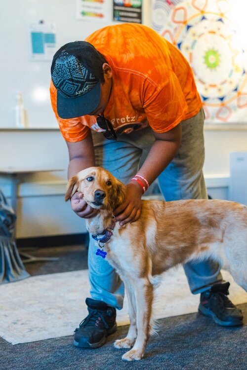 Most students enthusiastically greet Pippa. She's trained to be calm as people pet her. Loiselle also asks Pippa to sit if she notices a student is uncomfortable near her.