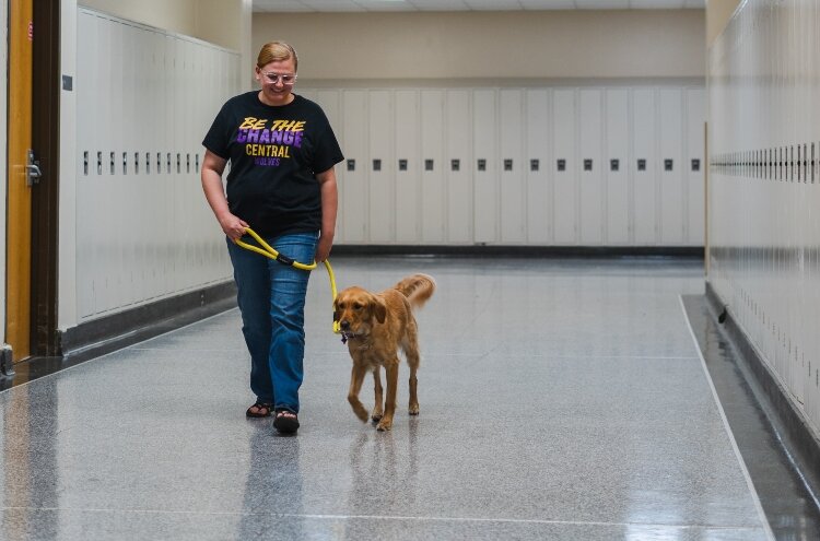 Pippa is certified as a therapy dog. She's trained to be interested in people, but calm, even when the school hallways are crowded with noisy teens.
