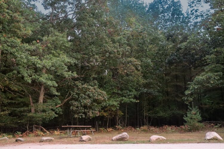 Fall colors are only beginning to arrive in the Great Lakes Bay Region. Soon, though, even the parking lot near Tobico Marsh will be filled with color.