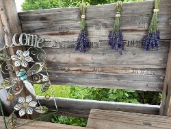 The Fields at Linwood, a lavender farm in Bay County, hosts its annual Open Fields event from July 4-6.