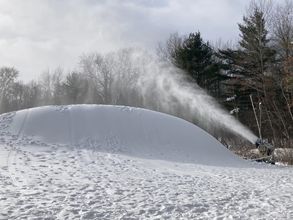 Midland City Forest in winter
