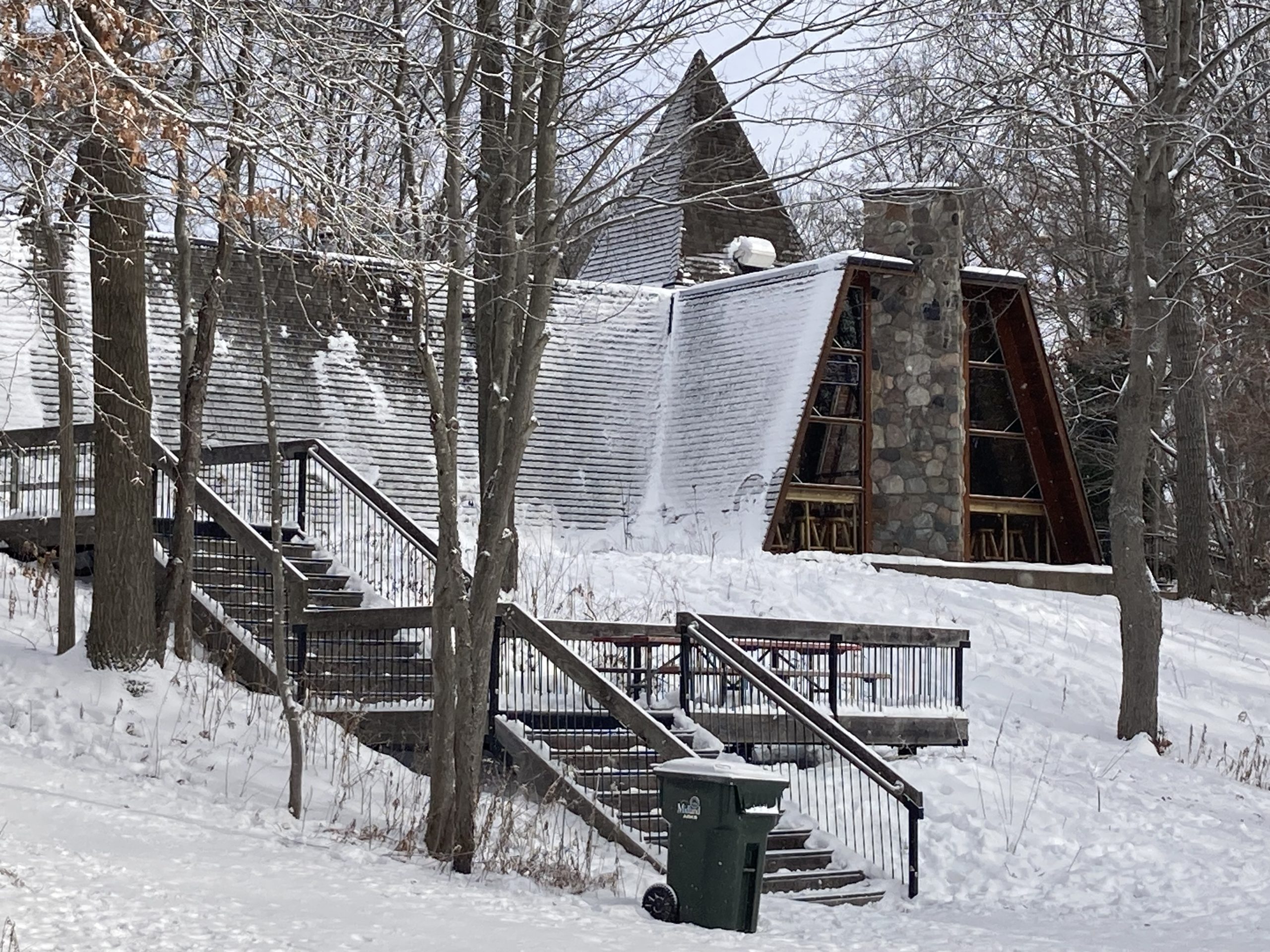 Midland City Forest in winter