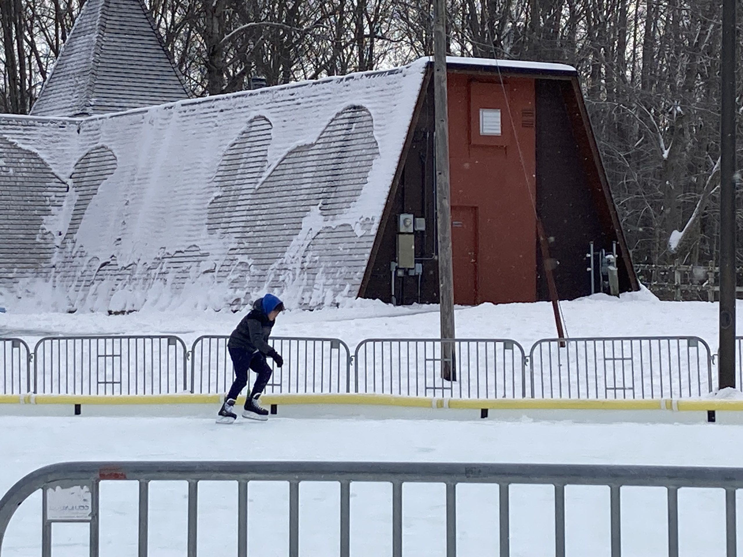 Midland City Forest in winter